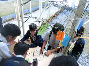 CIMG3801.JPG