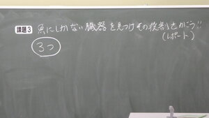 P1340613.JPG