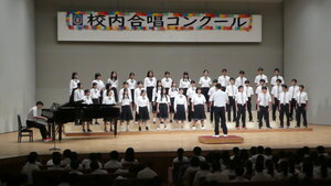 P1340773.JPG