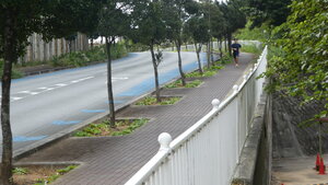 P1350090.JPG