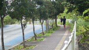 P1350091.JPG